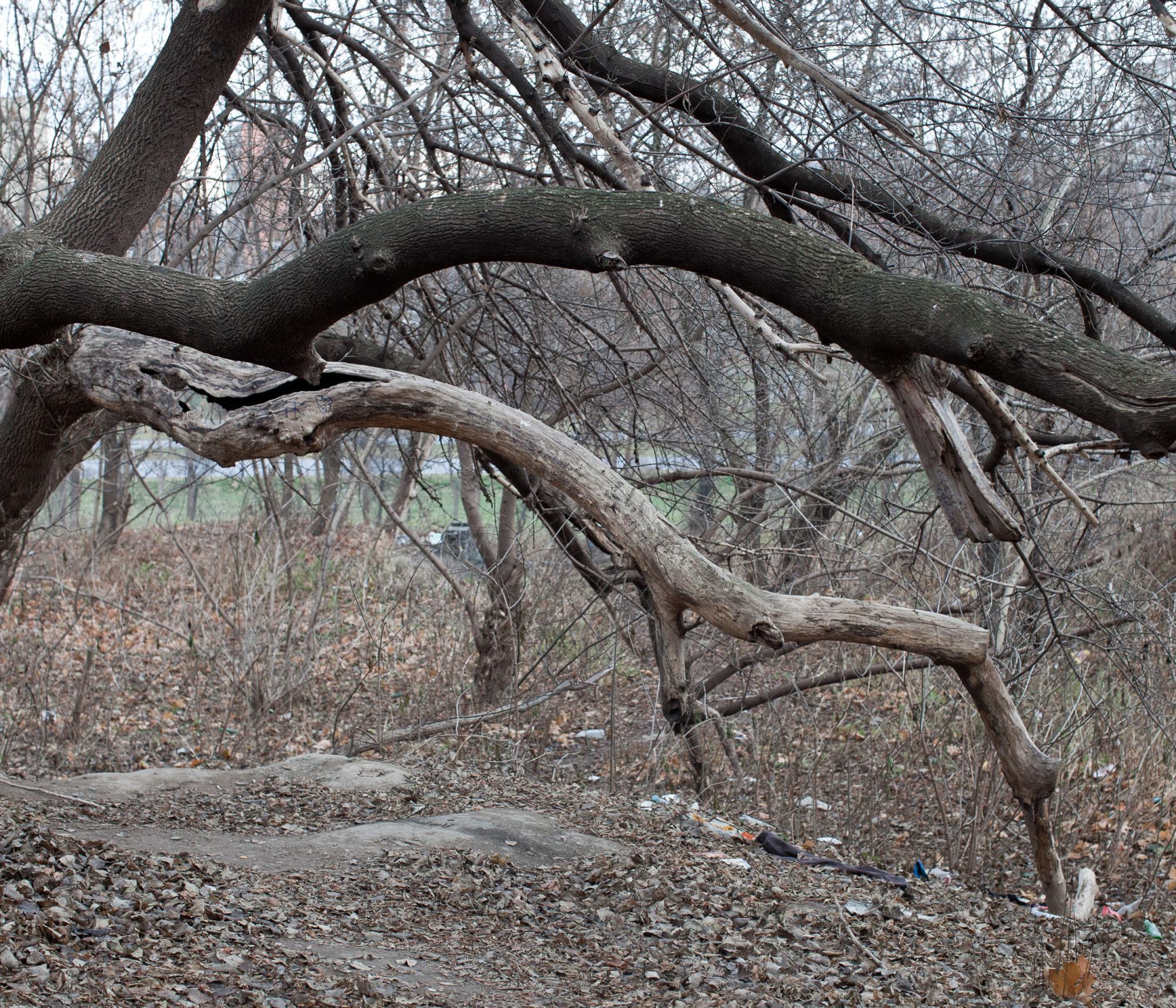 Maciek Rukasz, projekt artystyczny dla Citybooks.eu, fotografia lublin
