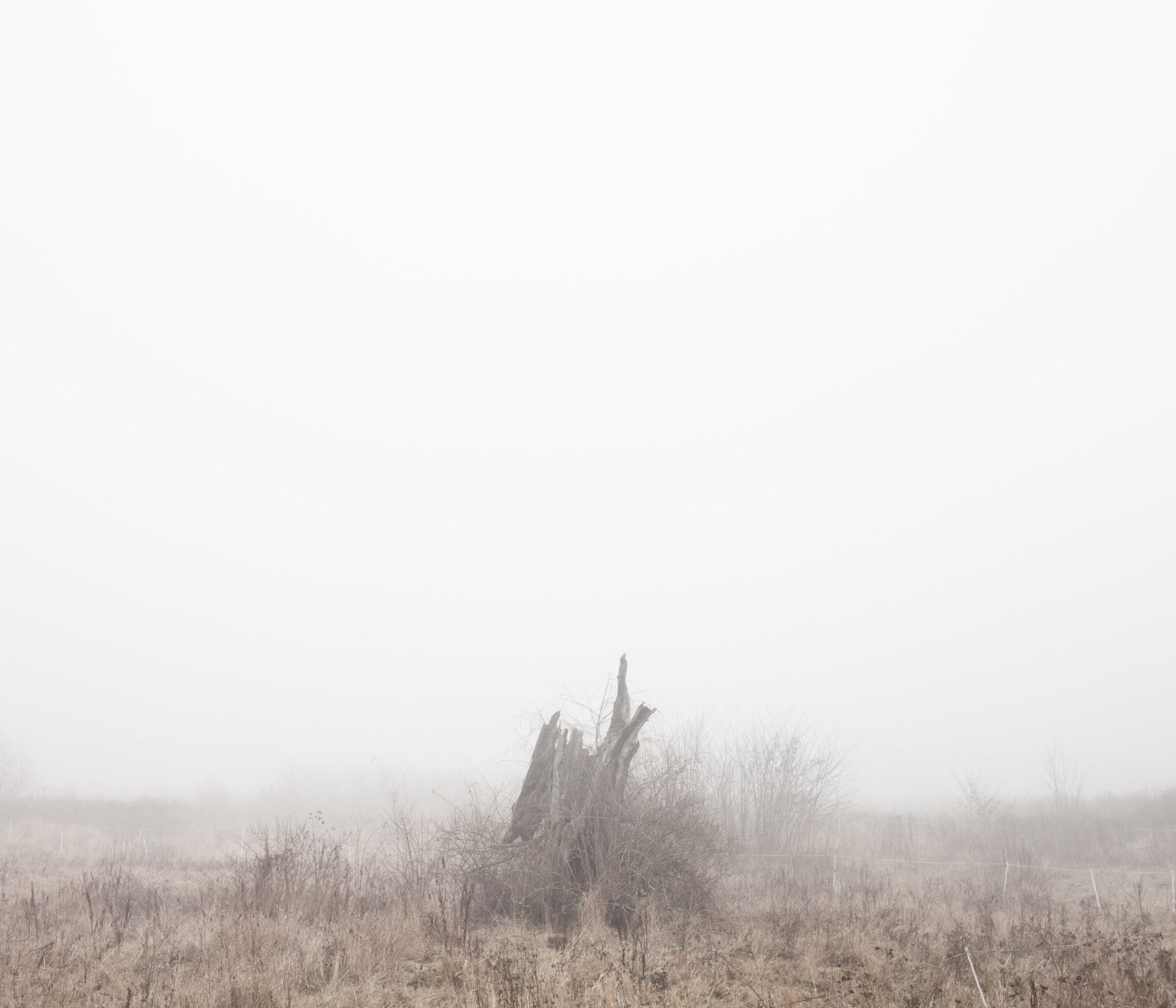 Maciek Rukasz, projekt artystyczny dla Citybooks.eu, fotografia lublin