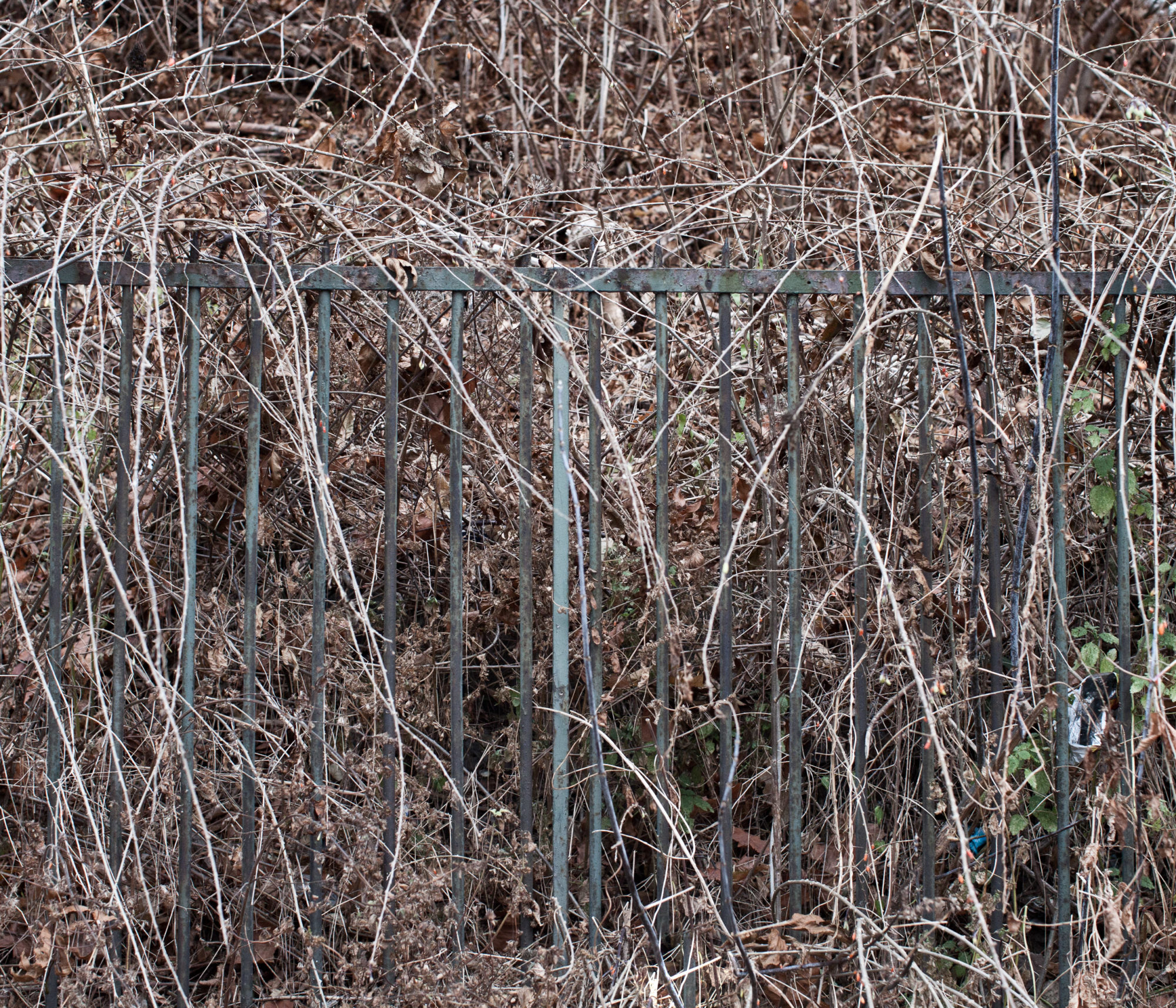 Maciek Rukasz, projekt artystyczny dla Citybooks.eu, fotografia lublin