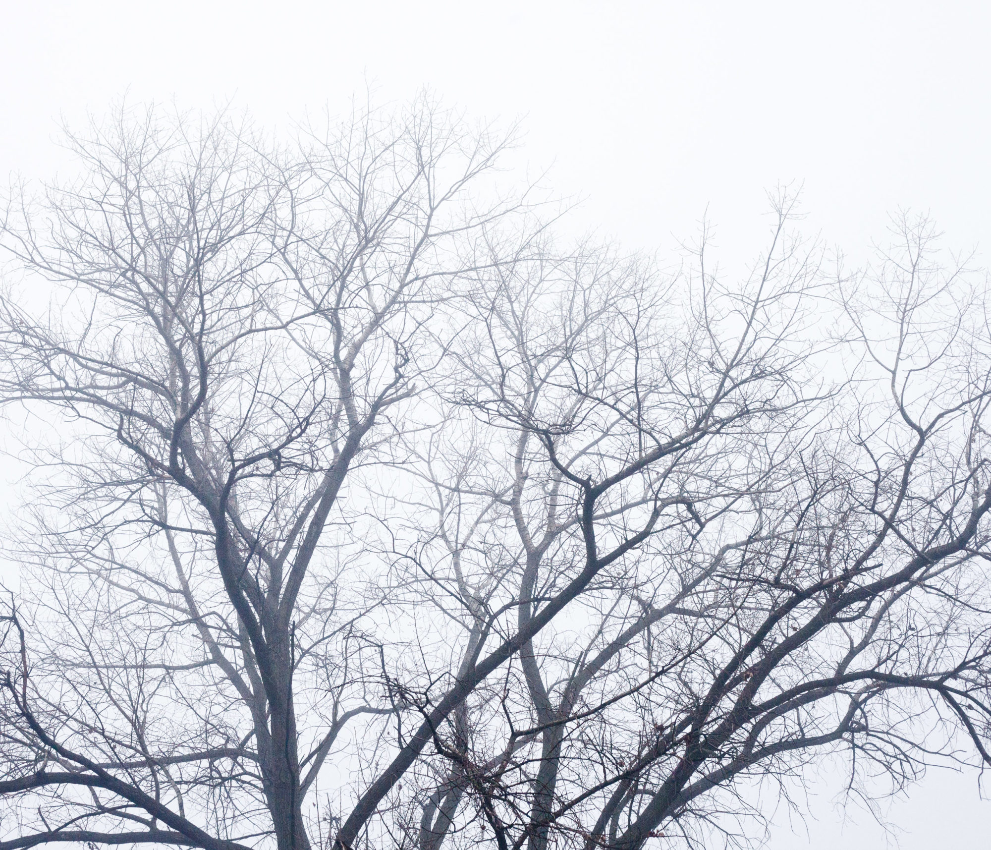 Maciek Rukasz, projekt artystyczny dla Citybooks.eu, fotografia lublin